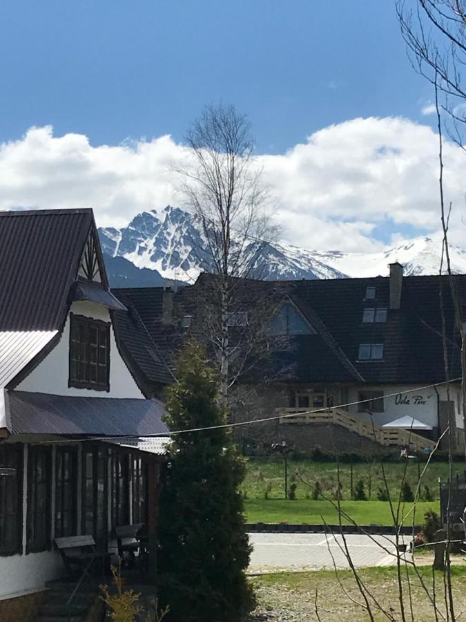 Willa Pod Górami Zakopane Exterior foto